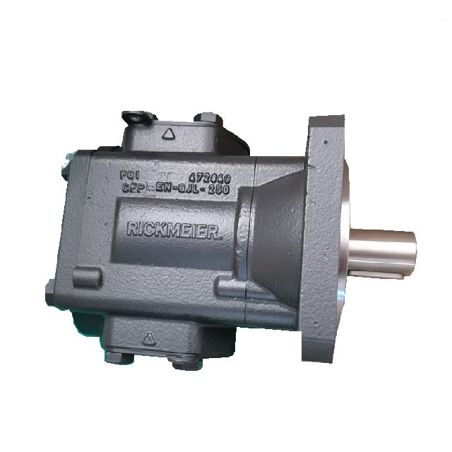 德國(guó)rickmeier 齒輪泵 R65/250  FL-Z-W-SAE3-R-SO